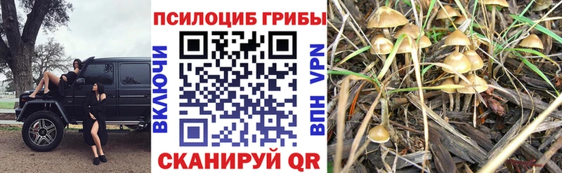 Псилоцибиновые грибы MAGIC MUSHROOMS  Ливны 